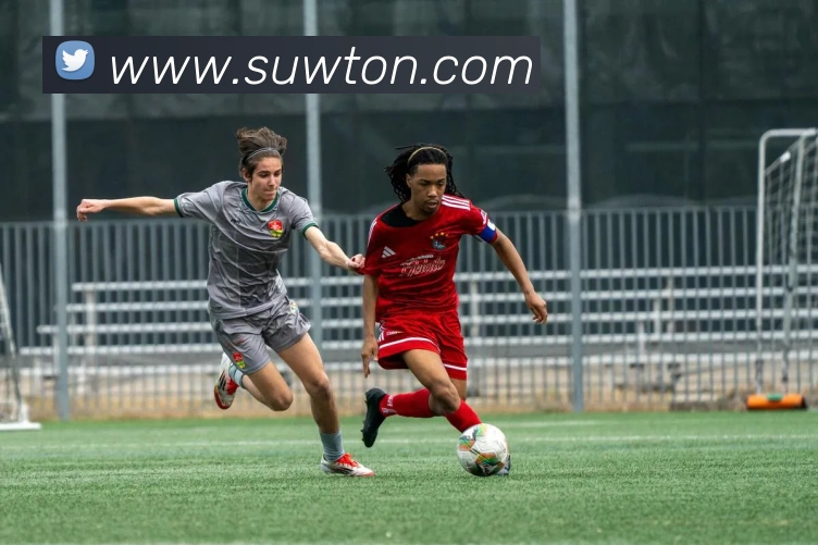 九游电子娱乐在线登录平台生态图